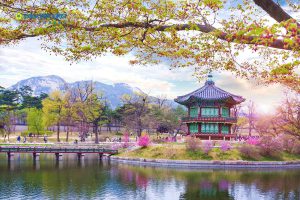 Du học Hàn Quốc - Thăm quan những địa điểm tuyệt vời