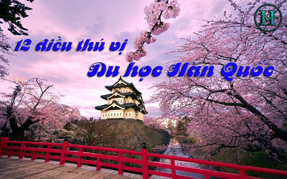 12-dieu-thu-vi-di-du-hoc-o-han-quoc 12 điều làm cuộc đời bạn thay đổi khiđi du học ở Hàn Quốc