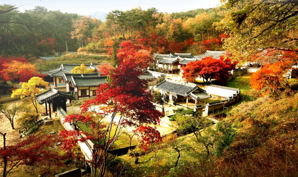 cac-truong-dai-hoc-o-seoul-han-quoc Các trường đại học ở seoul hàn quốc