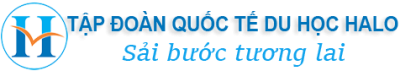 HALO.edu.vn