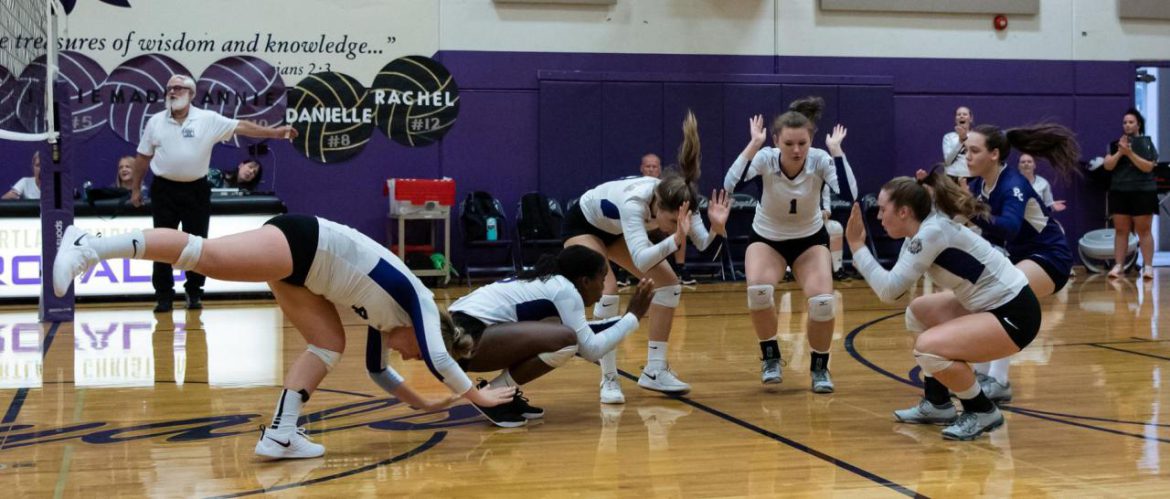 205004-c98b860a-aff9-4d3f-a63f-cc97999d2ed3 Volleyball team