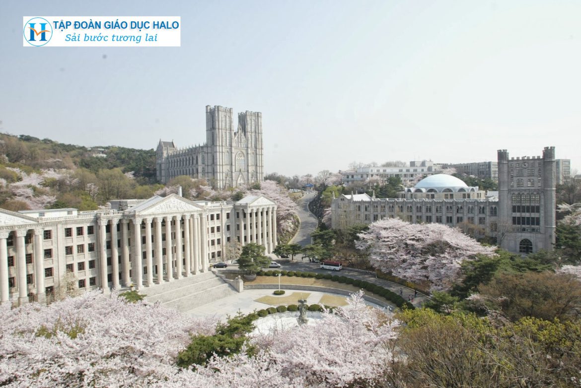 dai-hoc-kyung-hee