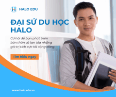 Đại sứ thương hiệu du học Halo