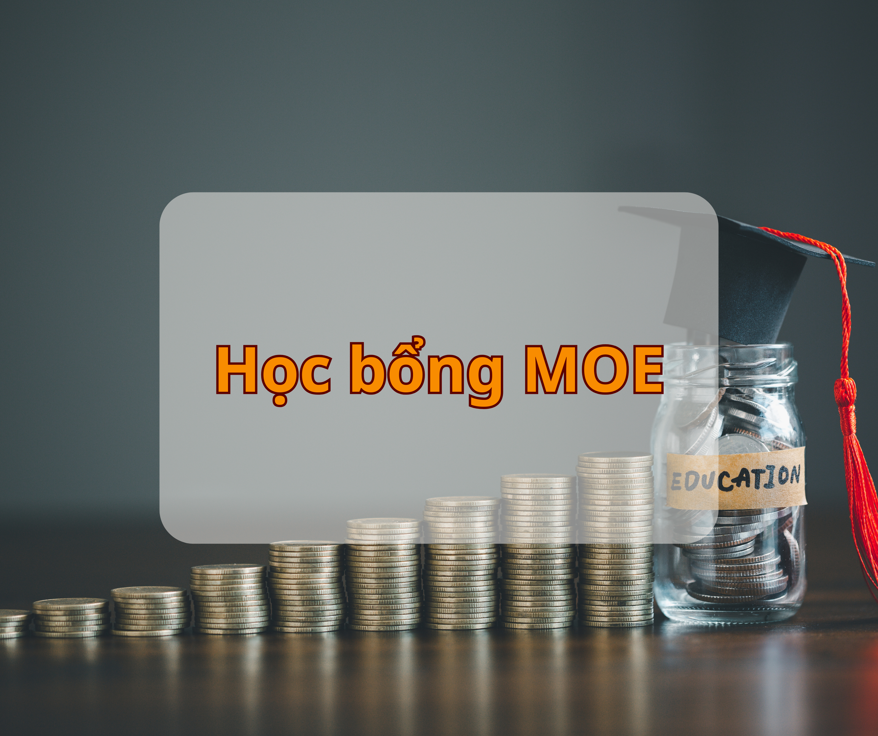 Học bổng MOE
