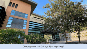 Chương trình 1+4 Đại học Tịnh Nghi là gì?
