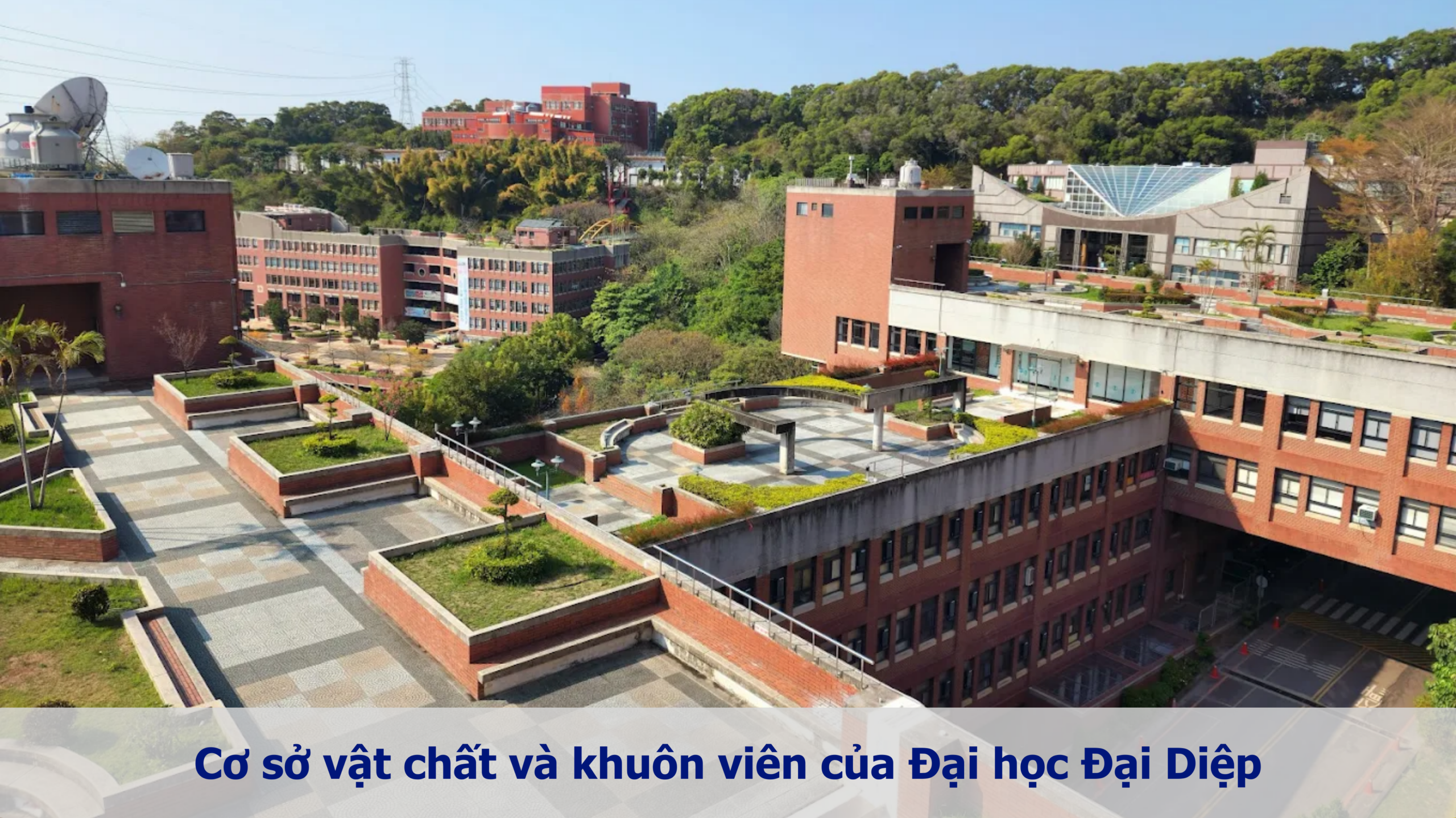 Cơ sở vật chất đại học Đại Diệp